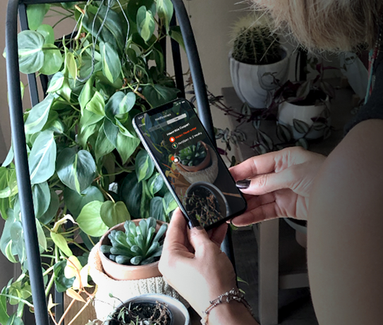 image of a person trying the app with plants